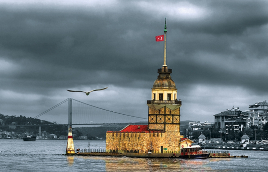 KOBݒLERDE D�J�TAL D�N���M�N F�NANSAL VE OPERASYONEL PERFORMANSA ETK�S�