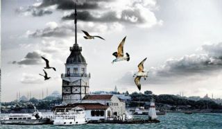YEN LETM ORTAMLARININ EKONOM POLT BALAMINDA AIN ZORLAYICILII ZERNE BR ARATIRMA